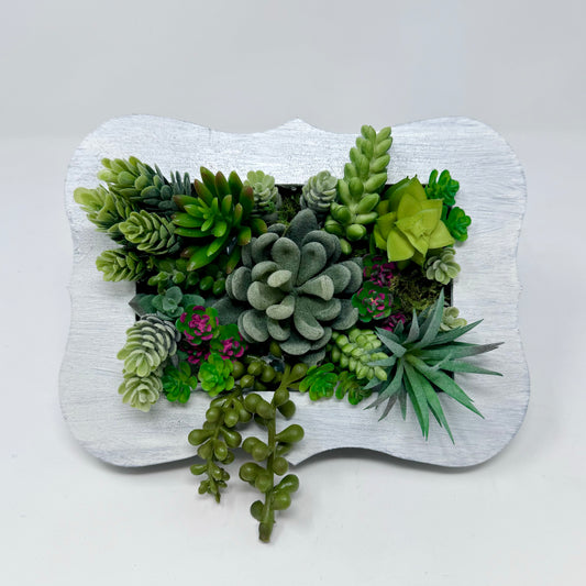 Handmade Succulents in Frame