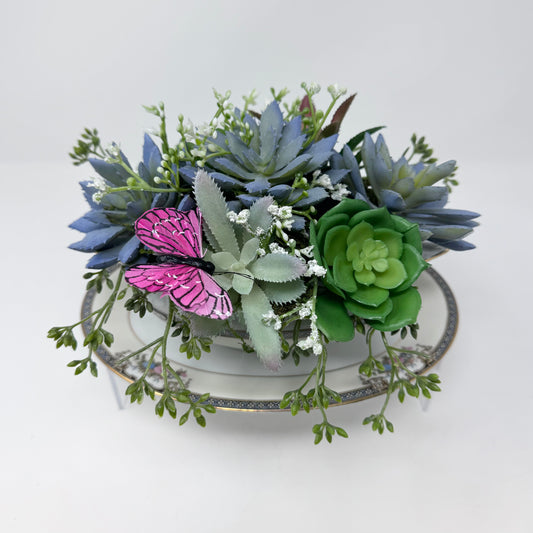 Succulents in China Bowl