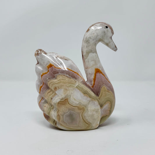 Medium Swan