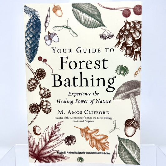 Your Guide To Forest Bathing